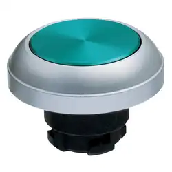 Кнопочный выключатель Schmersal RDTGN