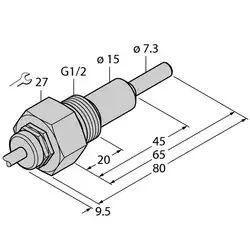 Датчик потока TURCK FCS-G1/2HC4-NAEX0/L065/D024