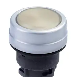 Кнопочный выключатель Schmersal DRUCKTASTER EDM GB