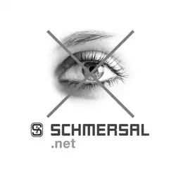 Кнопочный выключатель Schmersal NDLP30GR/WS