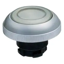 Кнопочный выключатель Schmersal RDLMWS