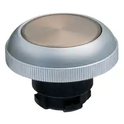 Кнопочный выключатель Schmersal EX-RDMRT