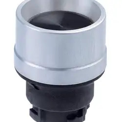 Кнопочный выключатель Schmersal DRUCKTASTER EDTH SW